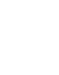 N Labs